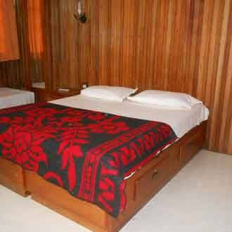 Dolphin homestay, Thekkady 1